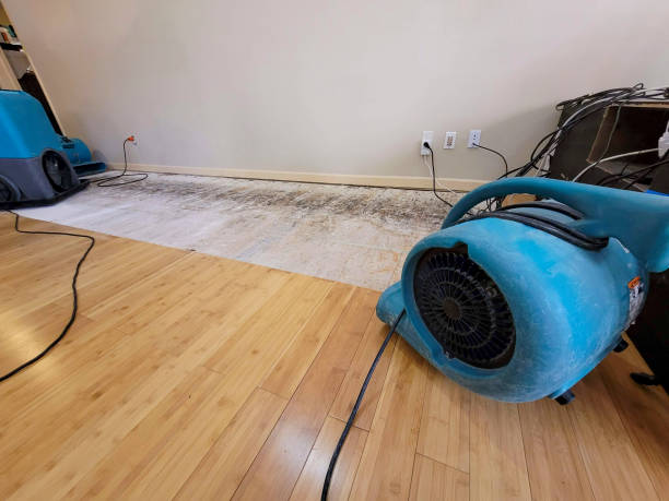Professional Structural Drying technician working in Marionville, MO